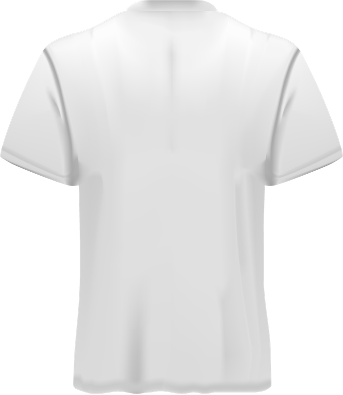 Blank t-shirt, back view